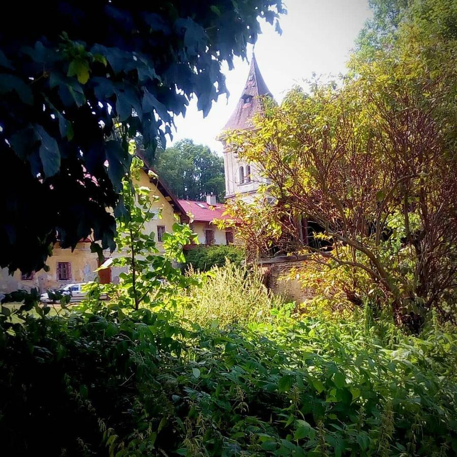 Alm-House Hollmann Apartamento Železná Ruda Exterior foto